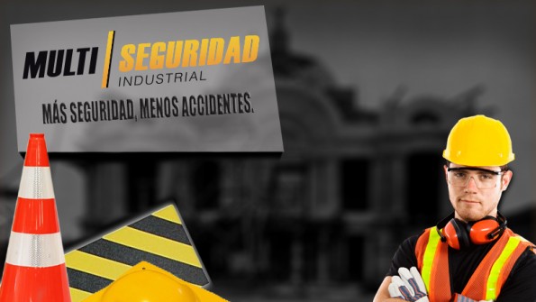 Multiseguridad